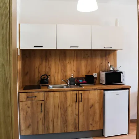 Willa Vita Muszyna - Rodzinne Apartamenty Blisko Natury I Atrakcji - 15Min Pieszo Do Centrum - 15Min Autem Do Stoku Exterior photo