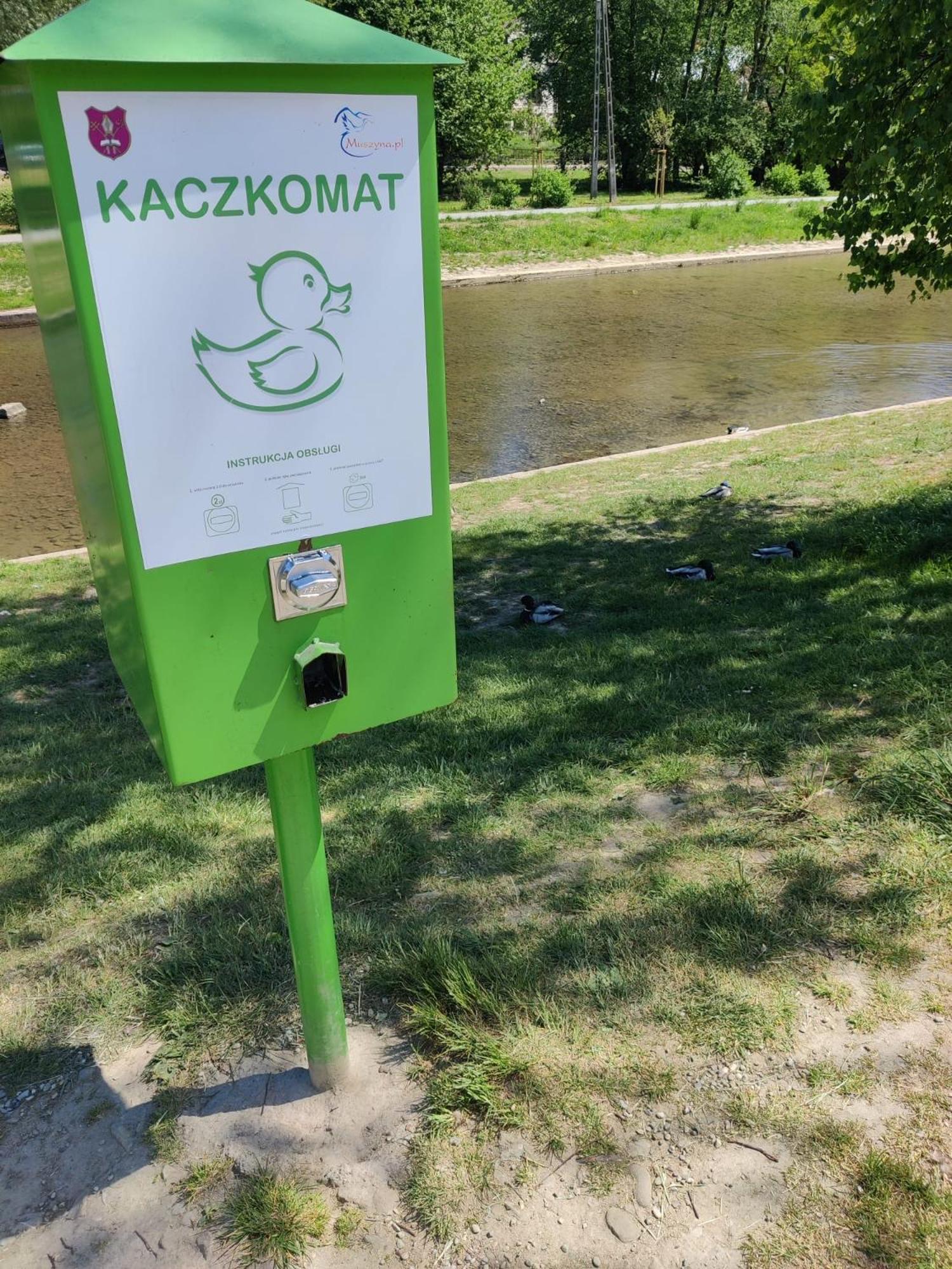 - Rodzinne Blisko Natury I Atrakcji - 15min Pieszo Do Centrum - 15min Autem Do Stoku